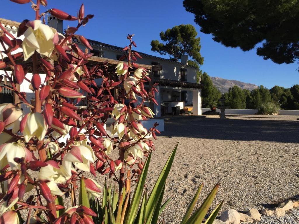 B&B Cortijo El Ciruelo Chirivel Exterior photo